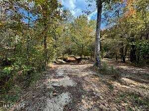 175 Acres of Recreational Land & Farm for Sale in Roxie, Mississippi