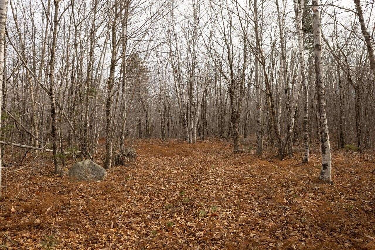 25.7 Acres of Land for Sale in Dedham, Maine