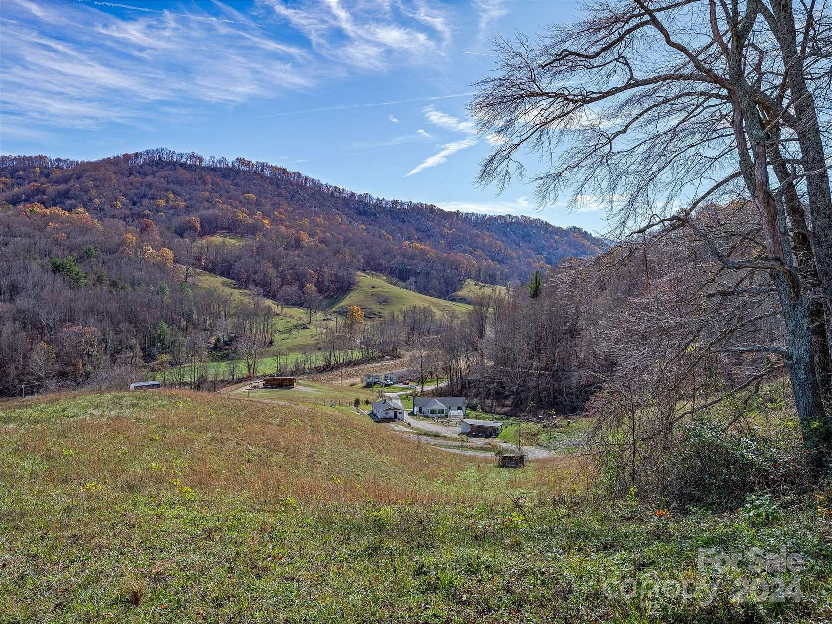 83.563 Acres of Agricultural Land with Home for Sale in Leicester, North Carolina