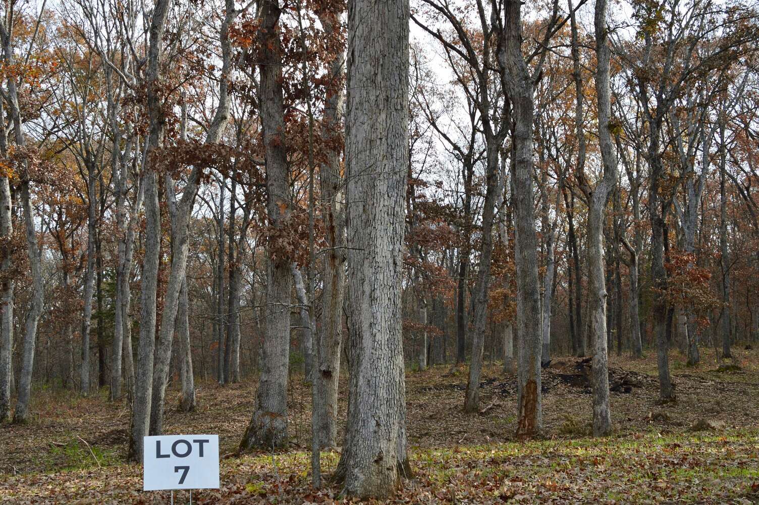 5.27 Acres of Residential Land for Sale in Foristell, Missouri