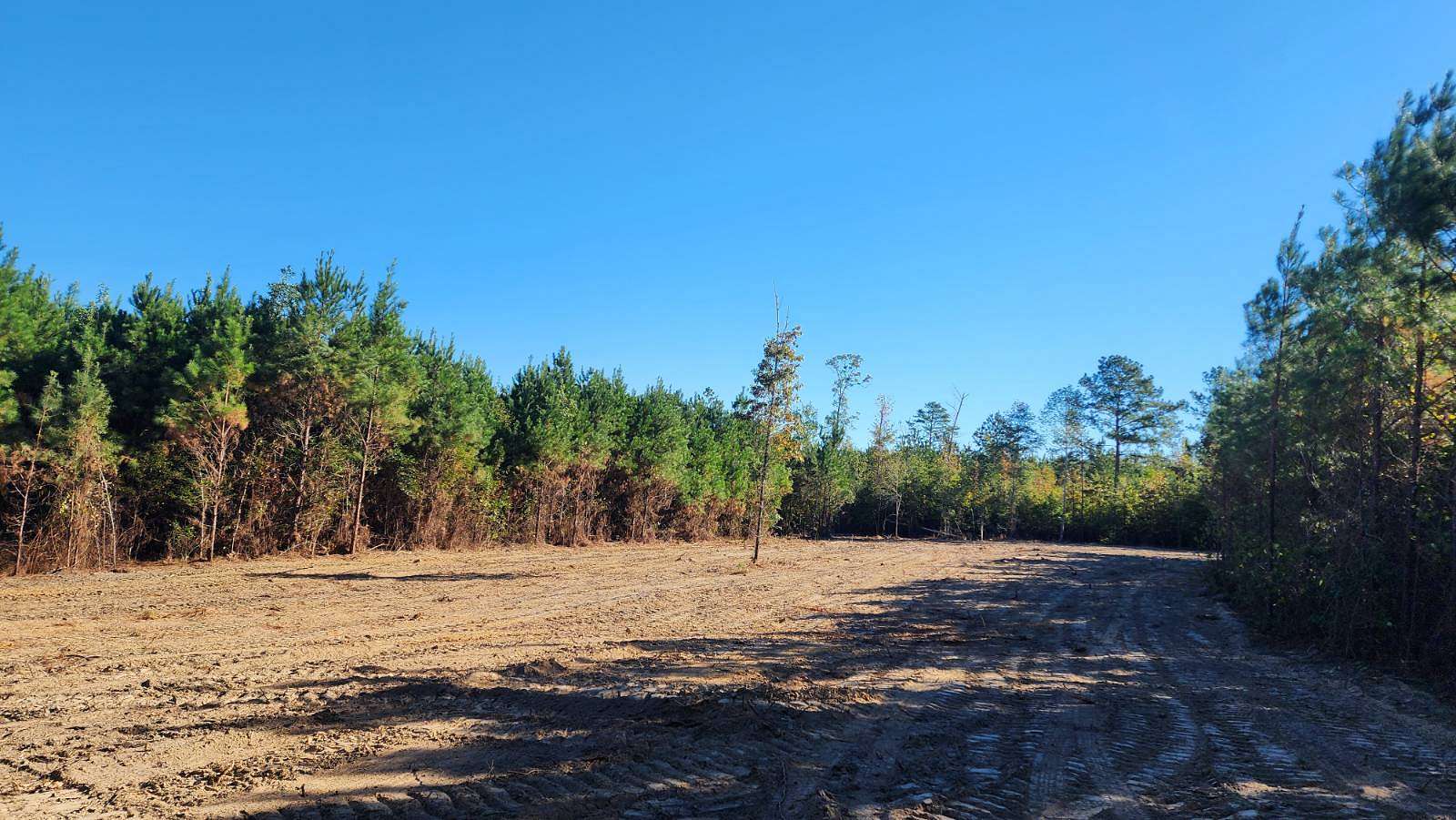 16 Acres of Land for Sale in Georgiana, Alabama