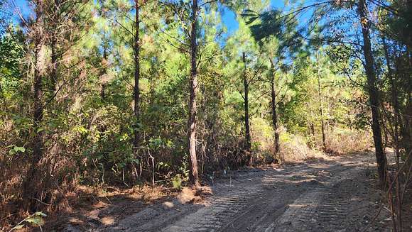 16 Acres of Land for Sale in Georgiana, Alabama