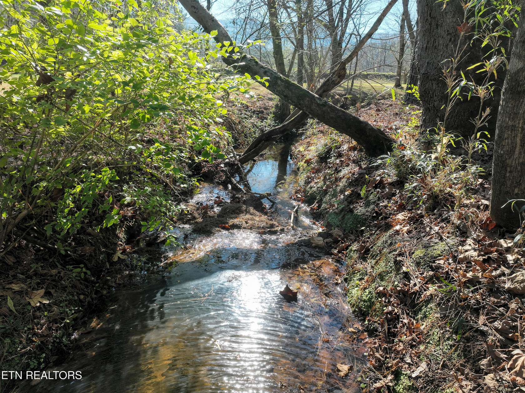 4.86 Acres of Residential Land for Sale in Maryville, Tennessee