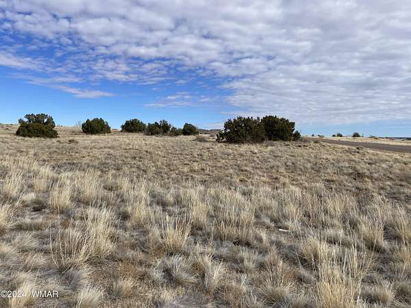 5.15 Acres of Residential Land for Sale in Taylor, Arizona