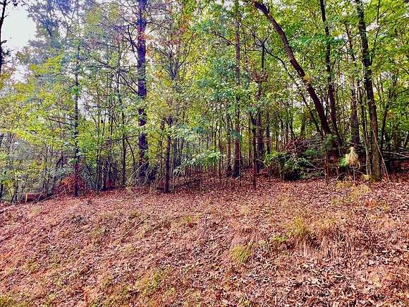 0.78 Acres of Land for Sale in Ellijay, Georgia