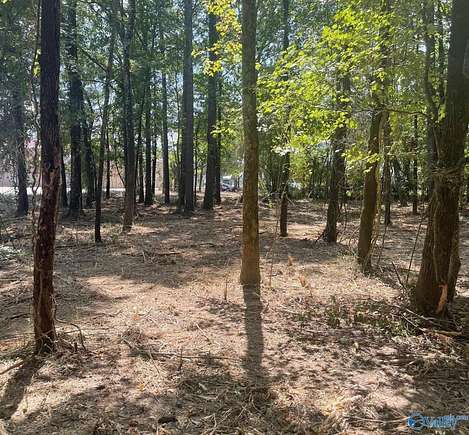 3 Acres of Residential Land for Sale in Centre, Alabama