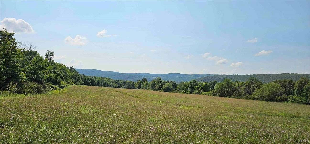 40 Acres of Land for Sale in Newfield, New York