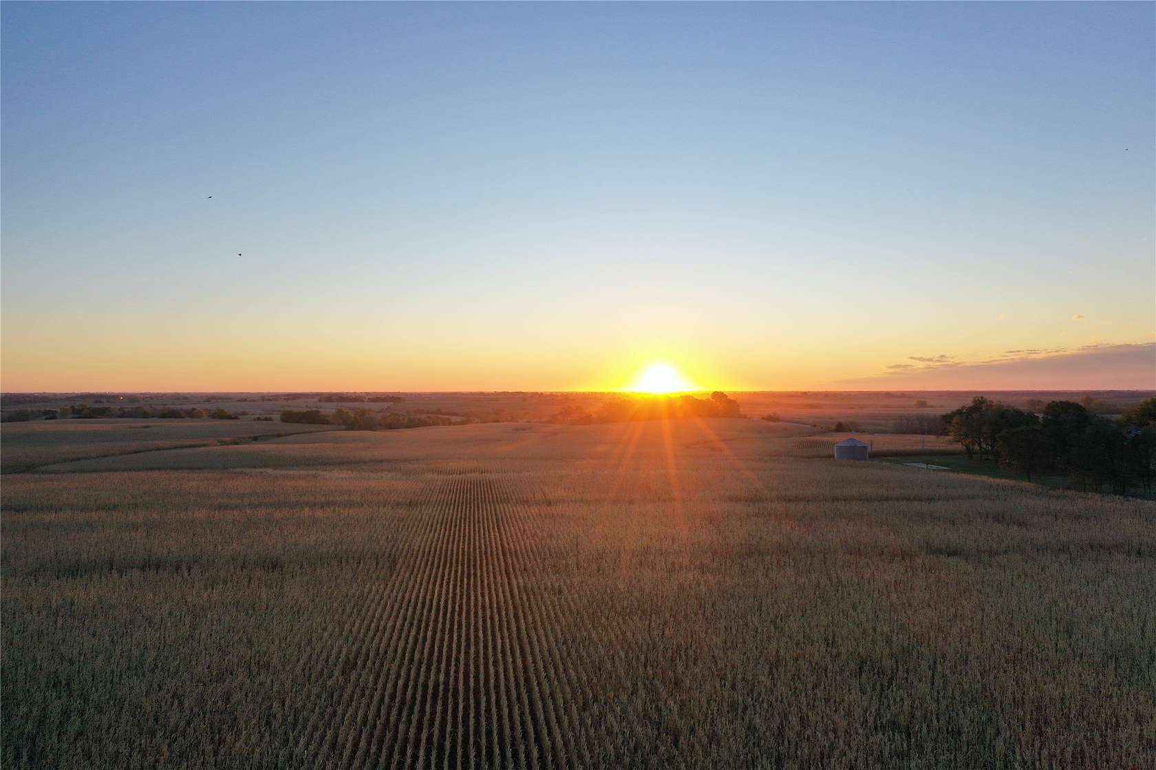 408.79 Acres of Agricultural Land for Auction in Van Wert, Iowa