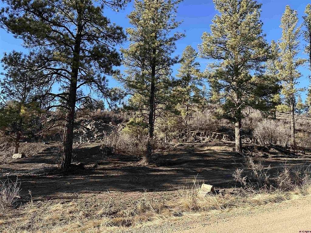 1 Acre of Residential Land for Sale in Pagosa Springs, Colorado