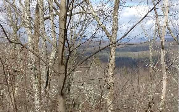 6.06 Acres of Residential Land for Sale in Ellijay, Georgia