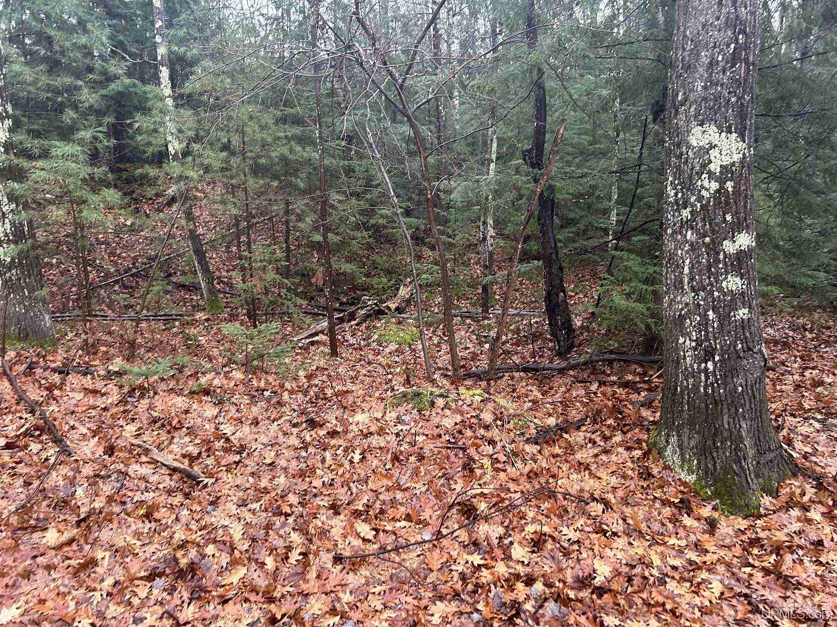 1.5 Acres of Residential Land for Sale in Rapid River, Michigan