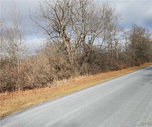 20 Acres of Land for Sale in Clayton, New York