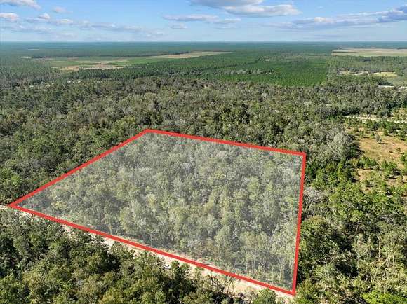 10 Acres of Land for Sale in Old Town, Florida