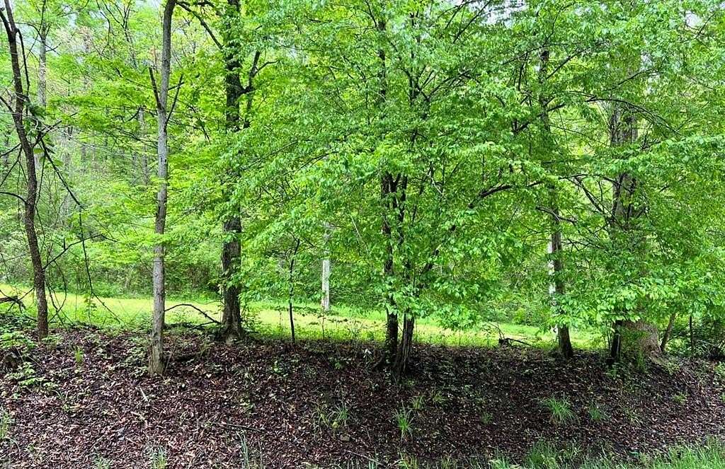 2 Acres of Residential Land for Sale in Robinson Creek, Kentucky