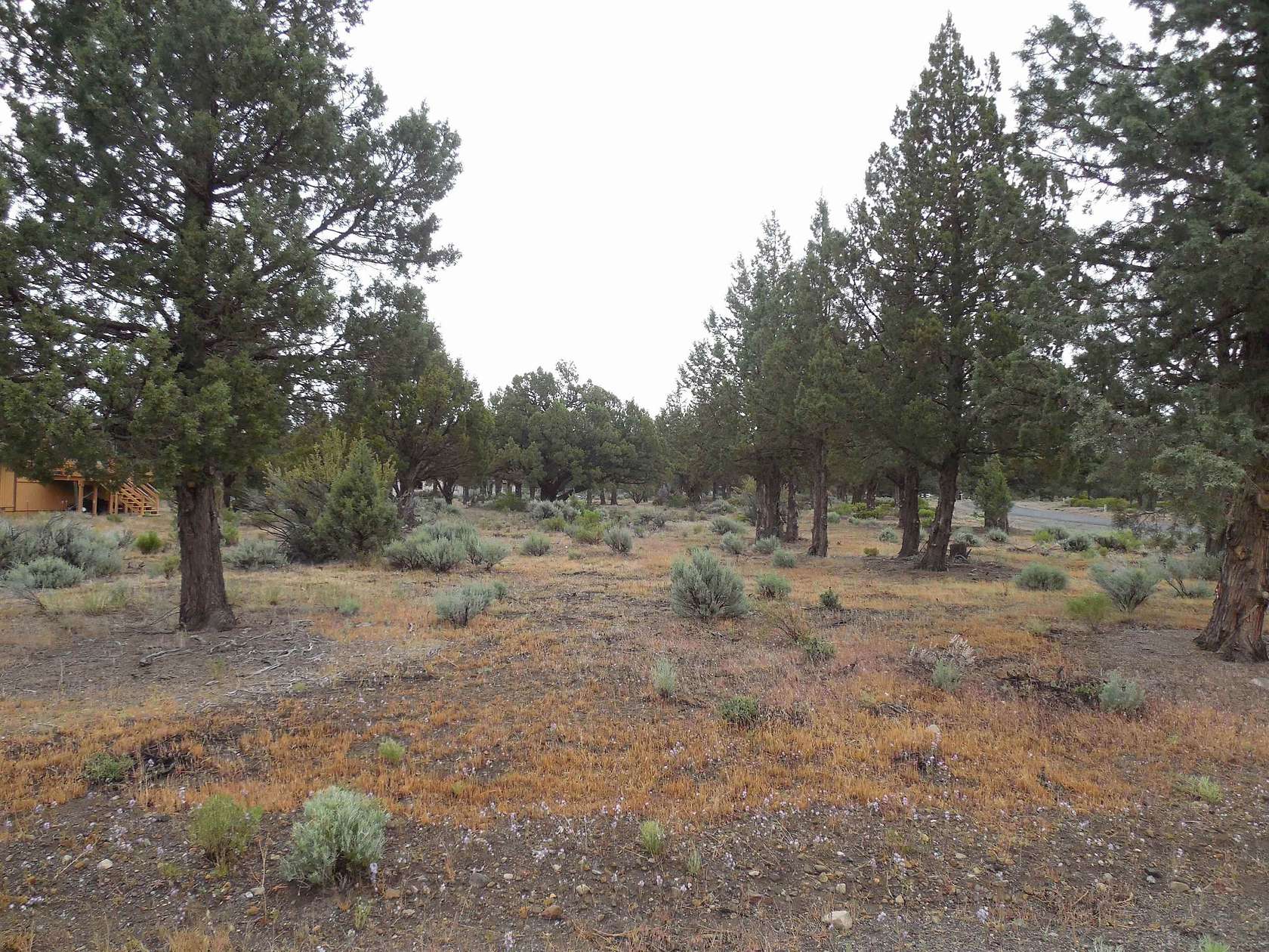 0.24 Acres of Residential Land for Sale in Weed, California