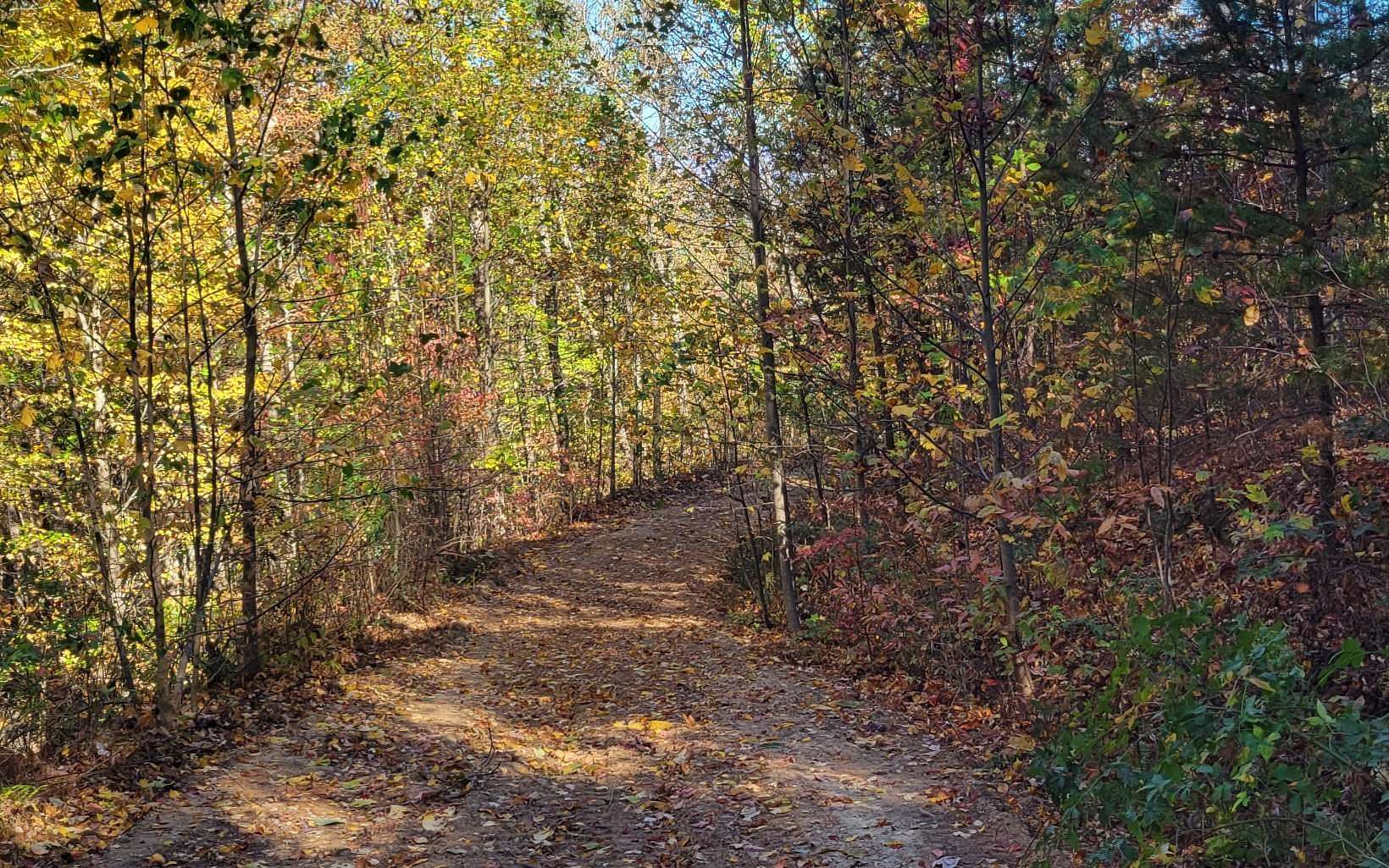 8 Acres of Residential Land for Sale in Ellijay, Georgia