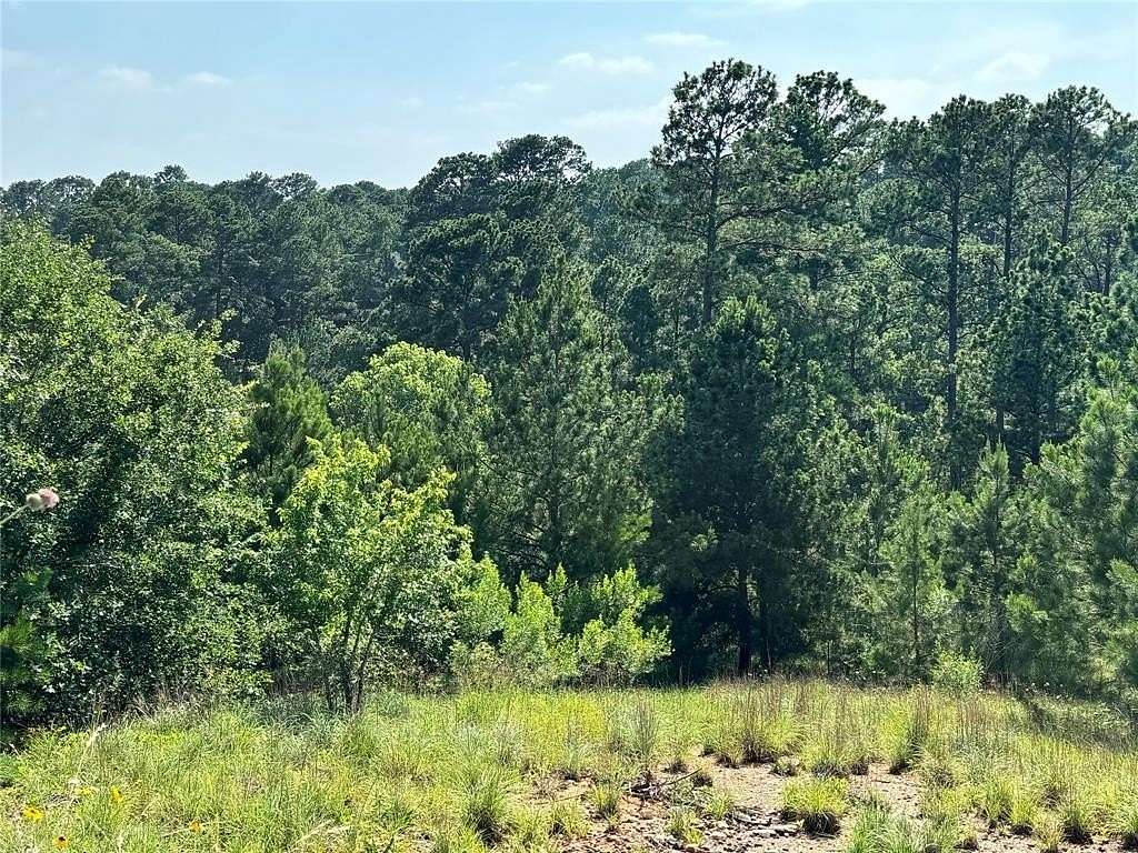 Residential Land for Sale in Bastrop, Texas