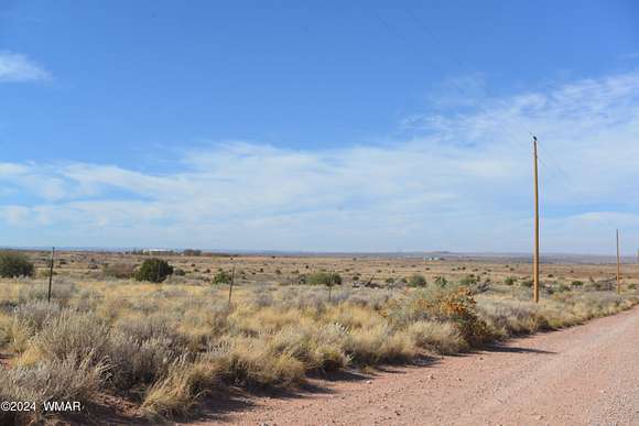 40 Acres of Agricultural Land for Sale in Snowflake, Arizona