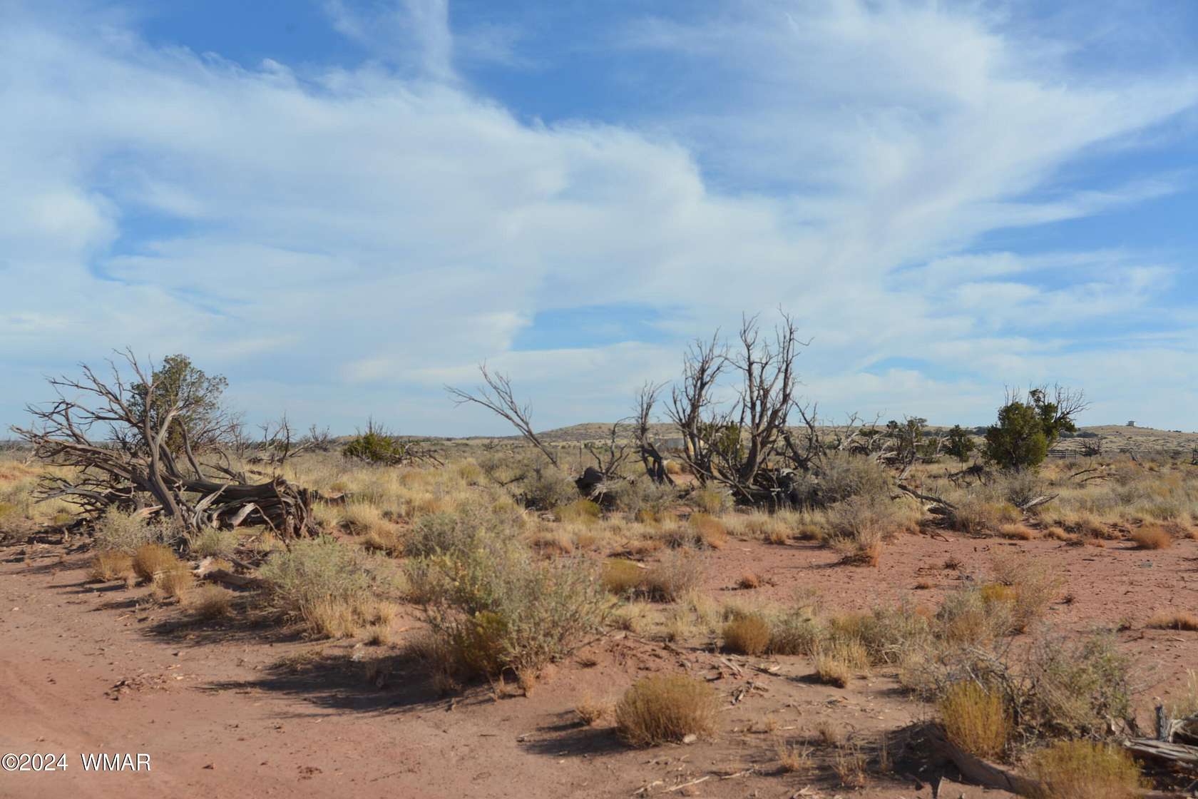 40.02 Acres of Agricultural Land for Sale in Snowflake, Arizona