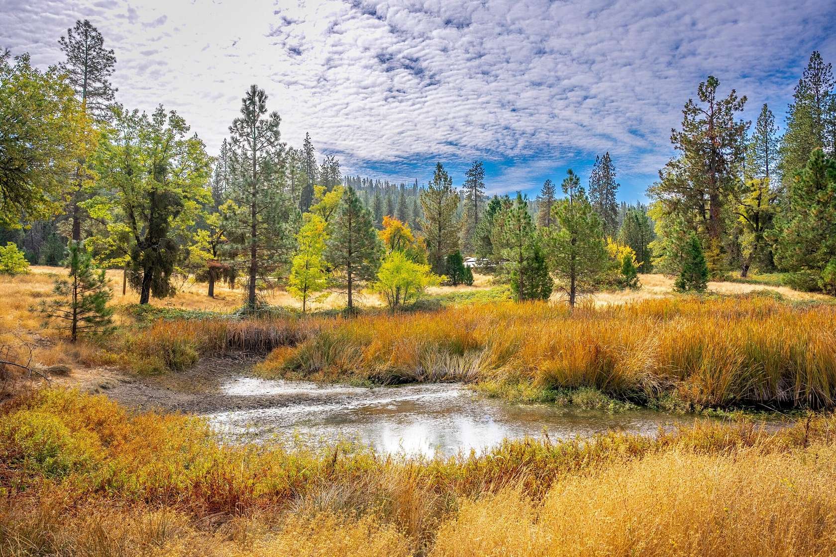 480 Acres of Recreational Land with Home for Sale in Groveland, California
