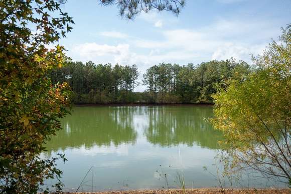 140 Acres of Land for Sale in Valley Grande, Alabama