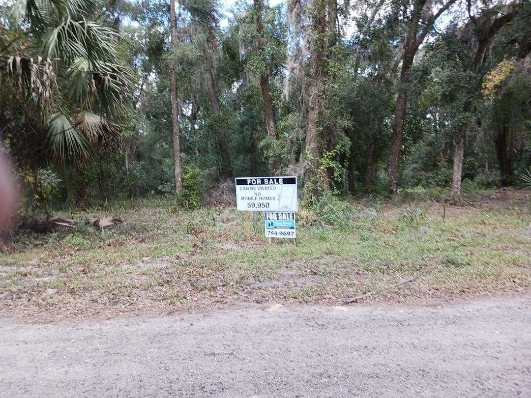 0.23 Acres of Land for Sale in Welaka, Florida