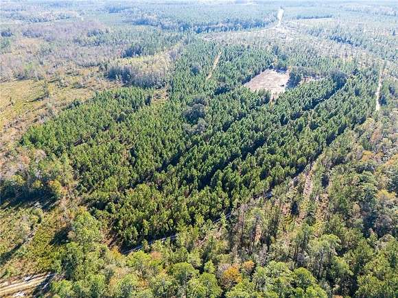 30.1 Acres of Land for Sale in Folkston, Georgia