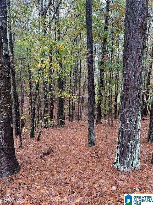 2.13 Acres of Land for Sale in Columbiana, Alabama