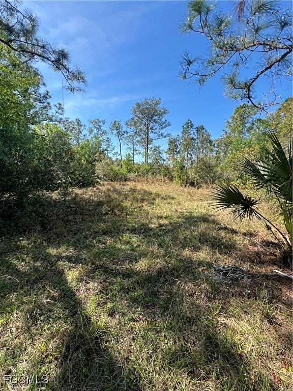 10.6 Acres of Agricultural Land for Sale in Punta Gorda, Florida