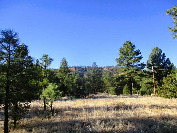 5 Acres of Residential Land for Sale in Ramah, New Mexico