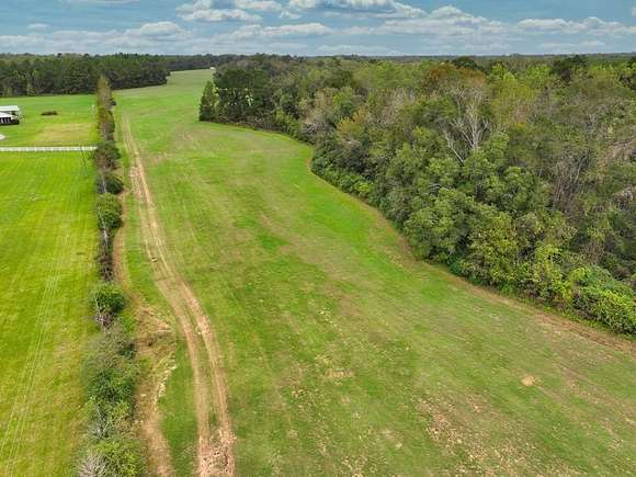 47.82 Acres of Agricultural Land for Sale in Cairo, Georgia