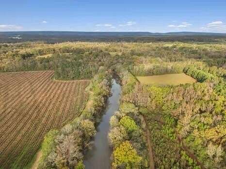 61 Acres of Land for Sale in Dalton, Georgia