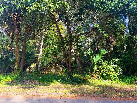 0.21 Acres of Residential Land for Sale in Apalachicola, Florida