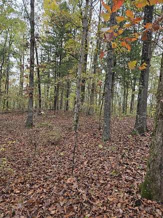 4.7 Acres of Residential Land for Sale in Nettleton, Mississippi