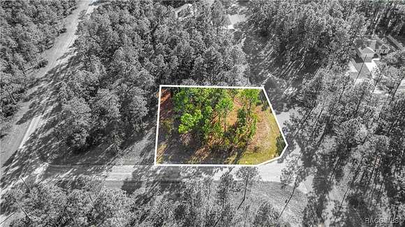 0.32 Acres of Land for Sale in Citrus Springs, Florida