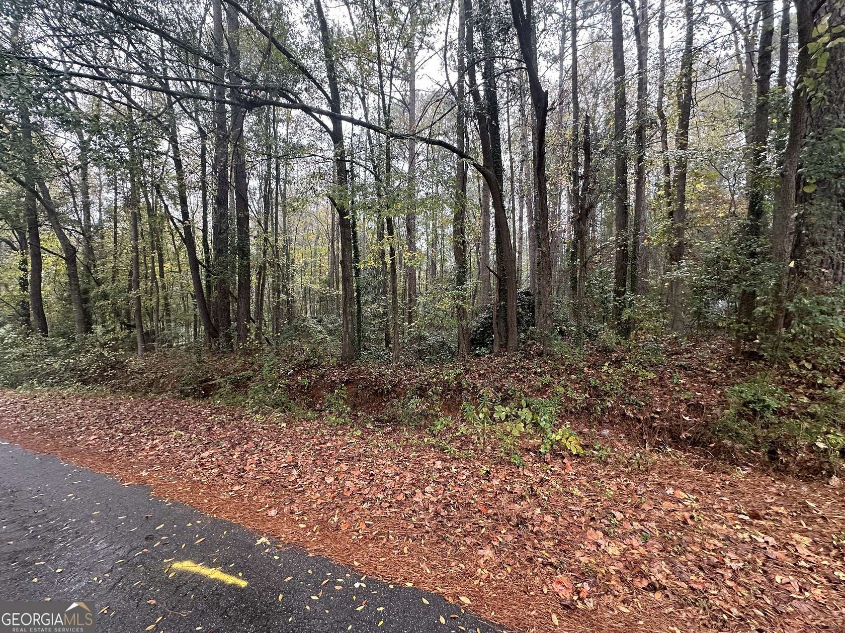 Residential Land for Sale in Monticello, Georgia