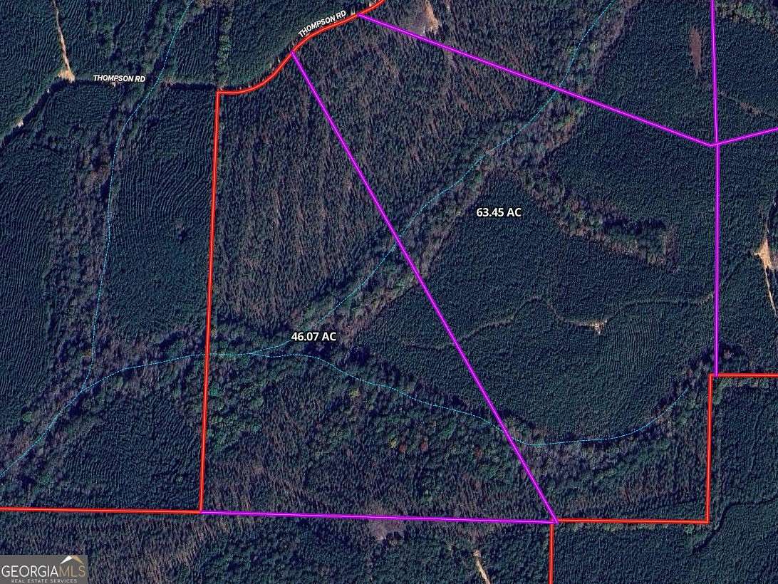 46.07 Acres of Recreational Land for Sale in Franklin, Georgia