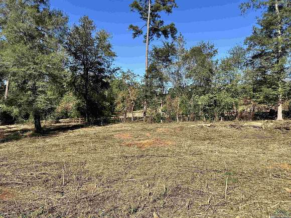 1.33 Acres of Residential Land for Sale in Mount Enterprise, Texas