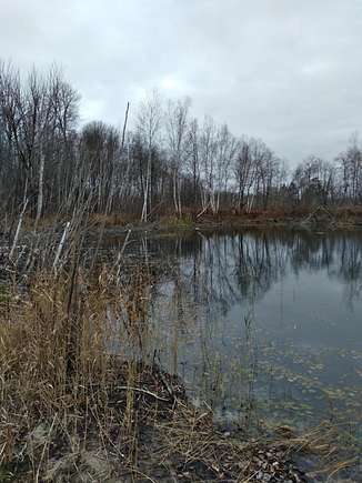 Land for Sale in Mancelona, Michigan