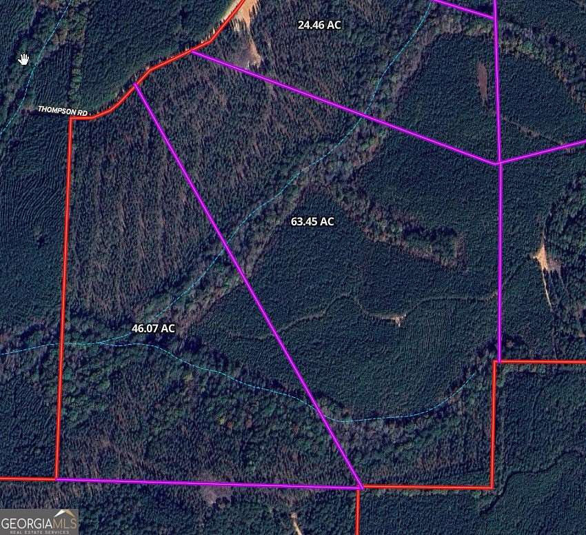 63.45 Acres of Recreational Land for Sale in Franklin, Georgia