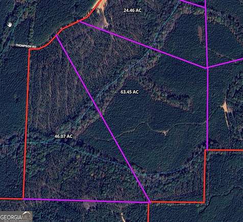 63.45 Acres of Recreational Land for Sale in Franklin, Georgia