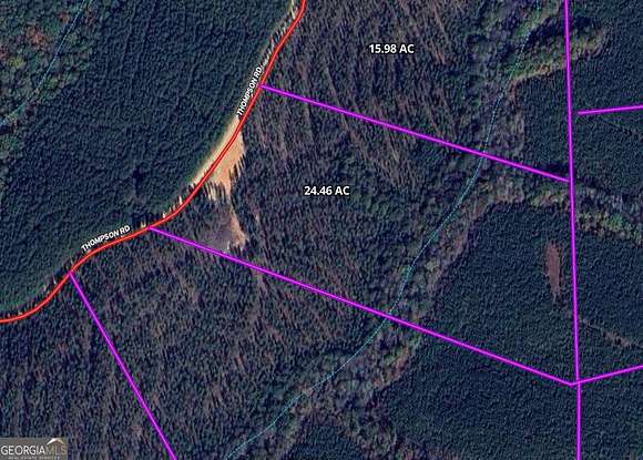 24.46 Acres of Recreational Land for Sale in Franklin, Georgia