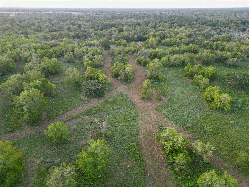 43.18 Acres of Improved Land for Sale in Brazoria, Texas