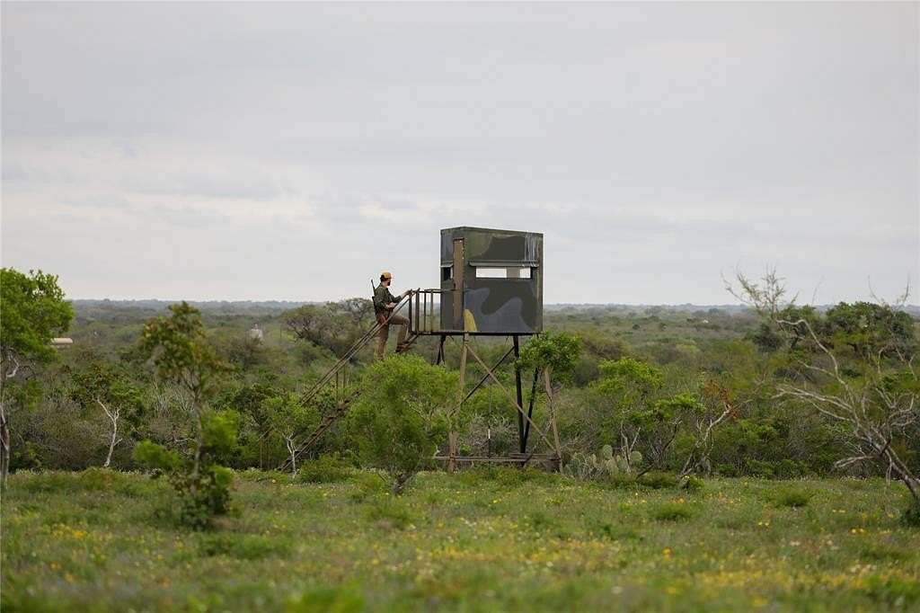 38 Acres of Land for Sale in Beeville, Texas