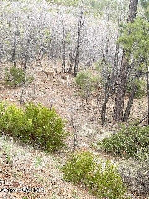 9.93 Acres of Residential Land for Sale in Show Low, Arizona