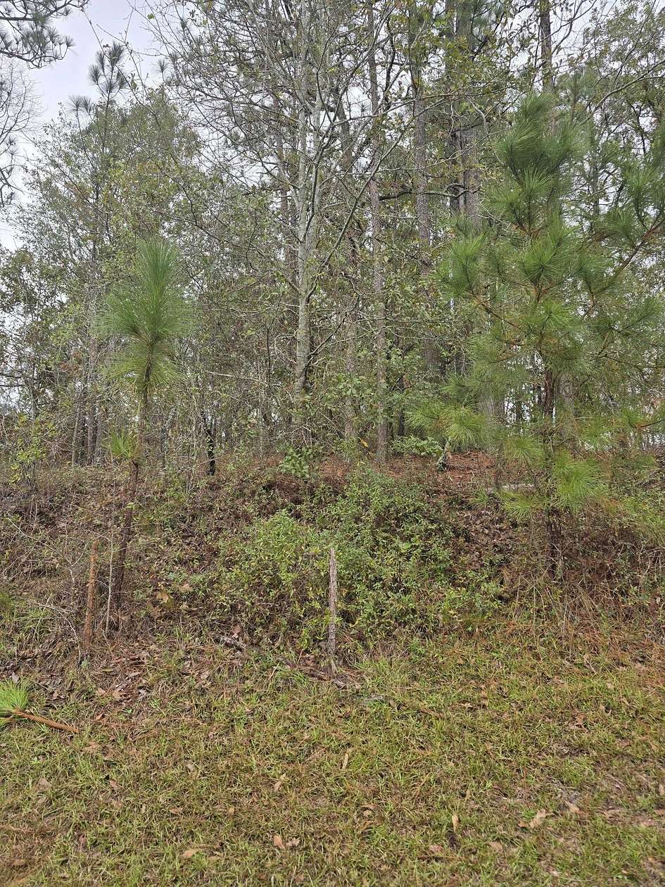 1.9 Acres of Residential Land for Sale in Waynesboro, Georgia