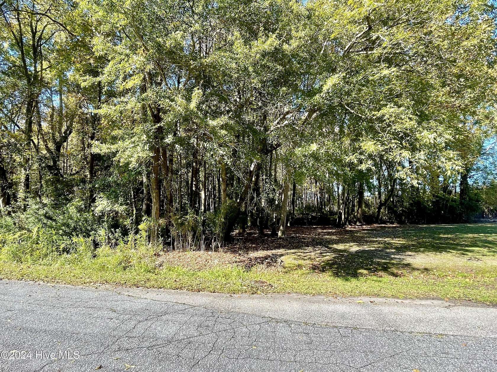 0.23 Acres of Residential Land for Sale in Robersonville, North Carolina