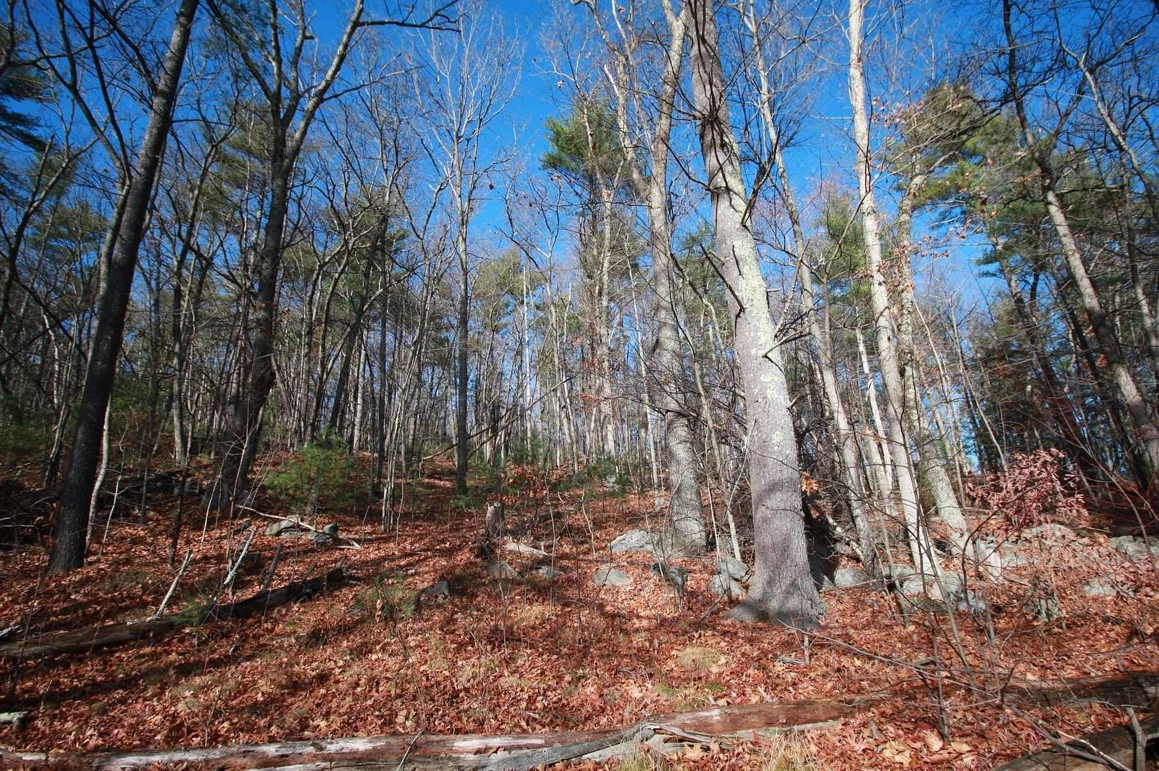 8.09 Acres of Residential Land for Sale in Pelham, New Hampshire