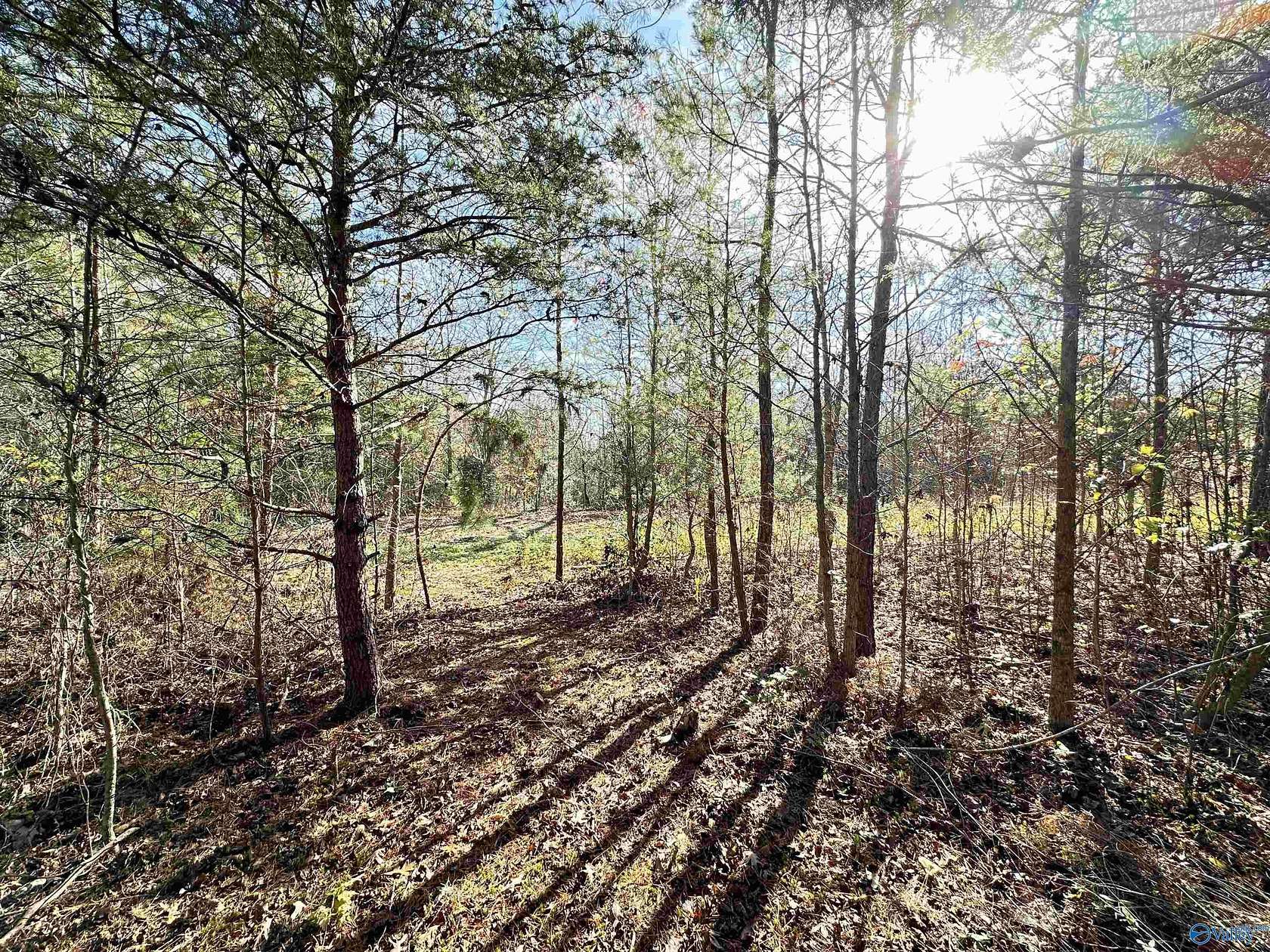 1 Acre of Land for Sale in Bryant, Alabama