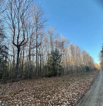 10 Acres of Residential Land for Sale in Gaylord, Michigan